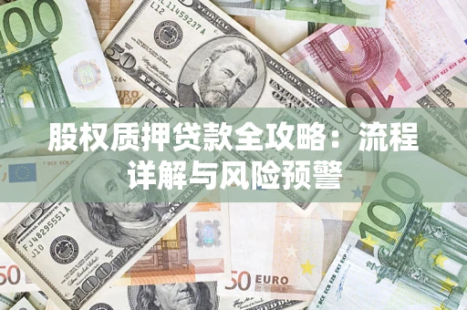 武汉股权质押贷款全攻略：流程详解与风险预警