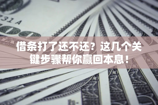 武汉借条打了还不还？这几个关键步骤帮你赢回本息！