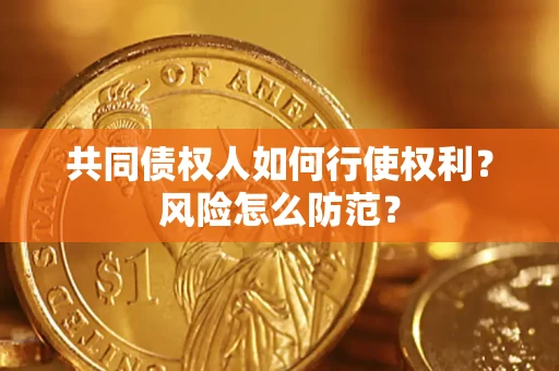 武汉共同债权人如何行使权利？风险怎么防范？