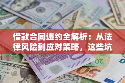 武汉借款合同违约全解析：从法律风险到应对策略，这些坑别再踩！