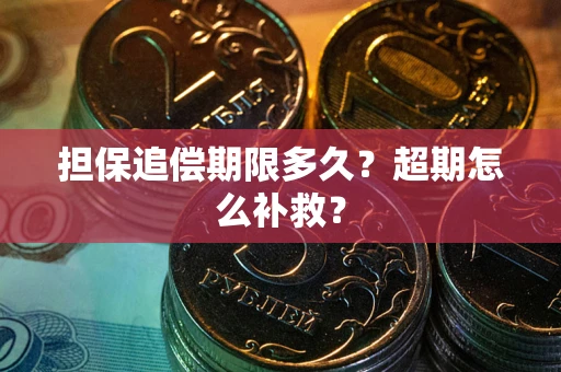 武汉担保追偿期限多久？超期怎么补救？