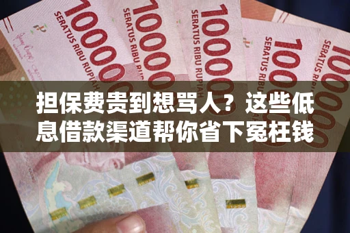 武汉担保费贵到想骂人？这些低息借款渠道帮你省下冤枉钱