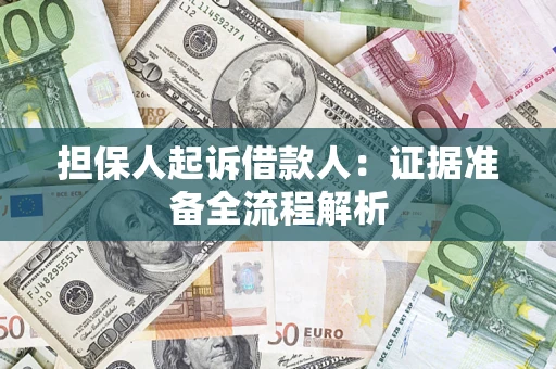 武汉担保人起诉借款人：证据准备全流程解析