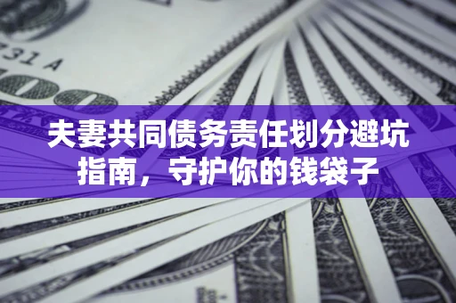 武汉夫妻共同债务责任划分避坑指南，守护你的钱袋子