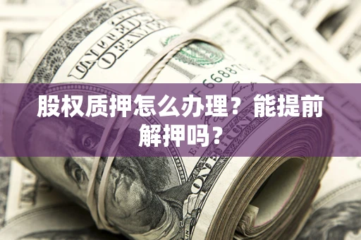 武汉股权质押怎么办理？能提前解押吗？